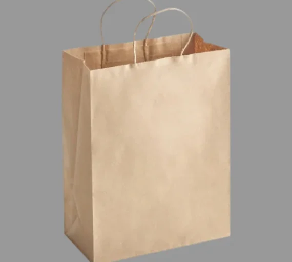 10" X 5" X 13" Kraft Shopping Bag with Handle [250 Pack]