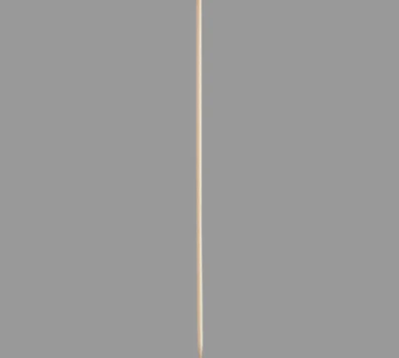 Wooden Skewer 10" [Dia 11/64"]