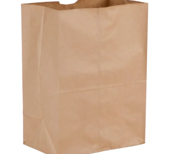 1/6 Grocery Bag, Kraft [500 Pack]