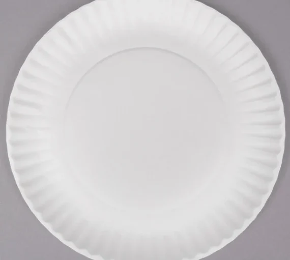 9" Uncoated Paper Plate, White [1000/Case]