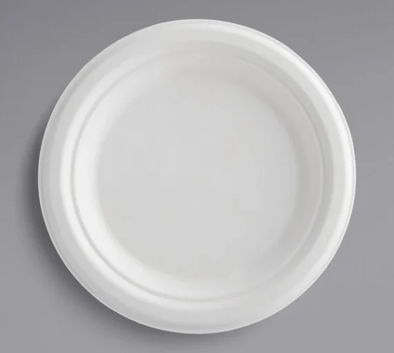 7 Biodegradable Round Plate [1000 Pack]