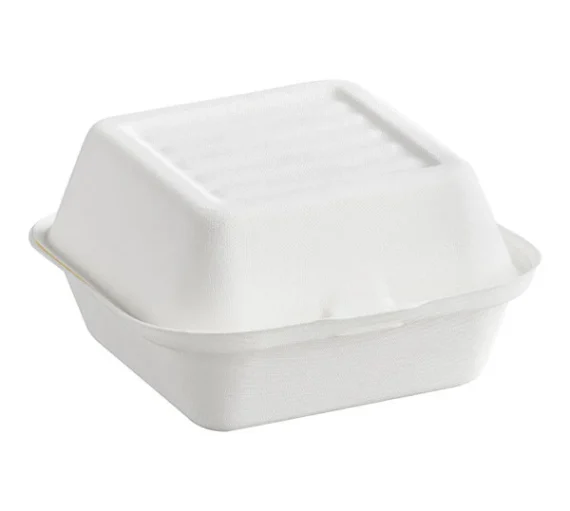 6 x 6 Bagasse Hinged Lid Container [500 Pack]