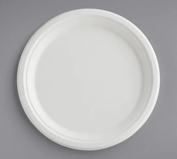 10" Biodegradable Round Plate, White [500 Pack]