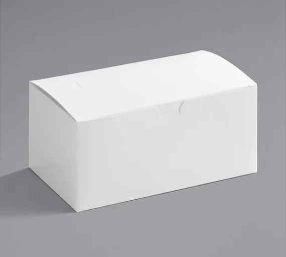 9" x 5" x 4" Take Out Lunch / Snack / Chicken Box with Fast Top, White [250 Pack]