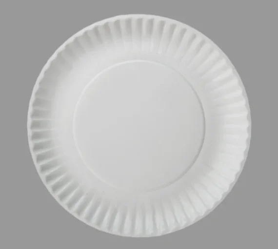 9" Coated Paper Plate, White [1000/Case]