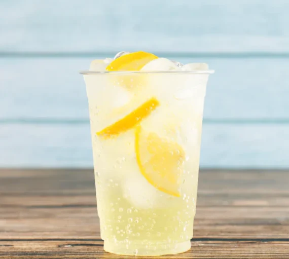 10oz PET Plastic Cold Cups [1,000/Case]