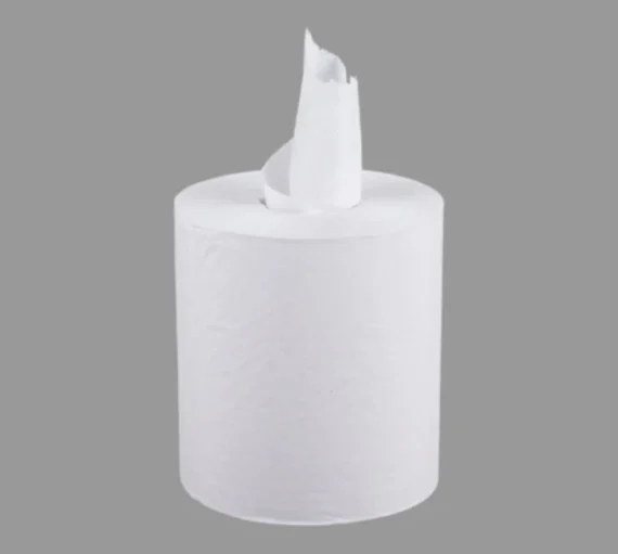 2-Ply Center Pull Paper Towel, 600 Sheets, White [6 Pack]