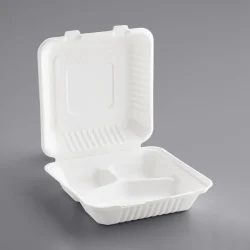 Biodegradable_Take_Out_Box_9_x_9_3CP
